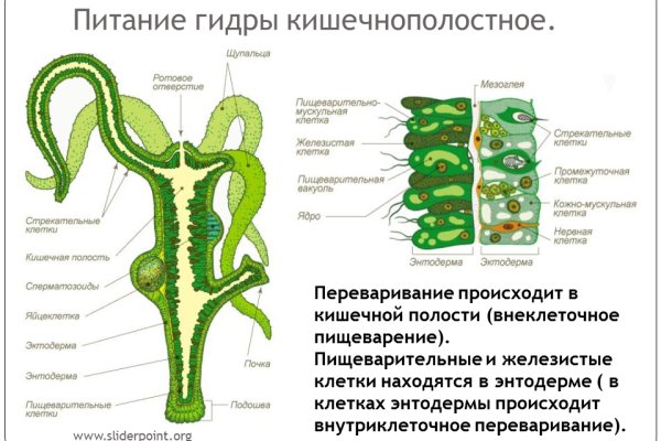 Ссылка на магазин кракен