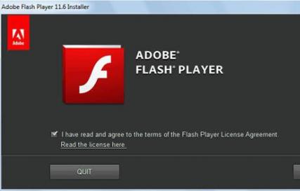 Как включить Adobe Flash Player на разных браузерах